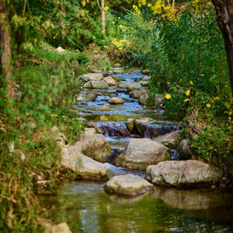 photo-parc-naturel-scaled